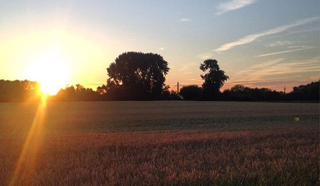 #Jücht in #Himmelgeist für #Stadtteilchallenge und #türmchenfanclub