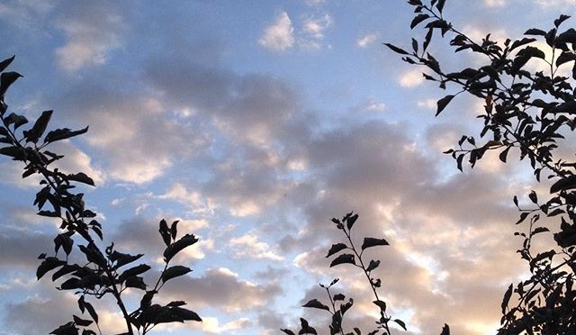 #Wolken über #Apfelbaum