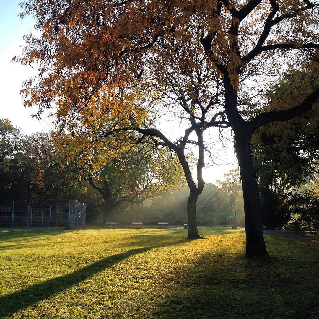 #Zoopark #düsseldorf #zufussinsbüro #runtowork #runduscrew
